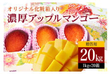 【 先行予約 2026年 発送】 沖縄県 糸満産 の「 濃厚 アップルマンゴー 」20kg ( 1kg × 20箱 ) マンゴー 大容量 贈答用 化粧箱入り 完熟マンゴー ギフト 贈答品 贈答 贈り物 お中元 夏ギフト 大量 お配り用 ゆいぐくるマンゴー沖縄 産地直送 糸満市 