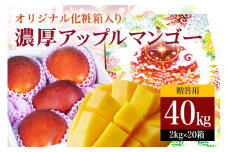 【 先行予約 2026年 発送】 沖縄県 糸満産 の「 濃厚 アップルマンゴー 」40kg ( 2kg × 20箱 ) マンゴー 大容量 贈答用 化粧箱入り 完熟マンゴー ギフト 贈答品 贈答 贈り物 お中元 夏ギフト 大量 お配り用 ゆいぐくるマンゴー沖縄 産地直送 糸満市 