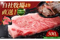 【厳選！おすすめ部位】沖縄和牛 佐渡山牛 ステーキ肉 500g ステーキ 牛肉 和牛 焼肉 赤身 沖縄市 / 肉のサブロー 肉 沖縄和牛 サーロイン 国産 ヒレ モモ ロース ブランド牛 ブランド肉 シャトーブリアン 冷凍 ギフト プレゼント BBQ 焼肉 自家用 家庭用 柔らかい 高級 受賞 人気 おすすめ 九州 送料無料 お取り寄せ サーロインステーキ 極上 [BCBC001]