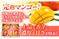 【 2026年発送 先行予約 】完熟マンゴー 約2kg (4〜6玉 / 化粧箱・秀品) マンゴー 沖縄 マンゴー 先行予約 