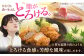 希少 豚肉 ヒレ肉  極上 豚 豚肉 真空パック 小分け 冷凍 国産 ヒレ ヒレステーキ ステーキ 肉 国産 希少部位 フィレ 