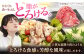 もも切り落とし 豚肉 もも肉 冷凍 小分け 冷凍 国産  豚肉 小分けブランド豚 豚肉切り落とし 国産 人気 冷凍 お肉 小分け