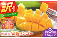 【ふるさと納税】【先行予約 2026年発送 予約受付】訳あり 完熟マンゴー 約3kg (約1.5kg (3〜6玉) ×2箱) マンゴー 沖縄 果物 フルーツ ギフト 沖縄市 / ちゃんぷる～市場 [BCAA003]