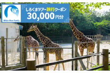 【沖縄市】しろくまツアーで利用可能なWEB旅行クーポン (3万円分) 沖縄旅行 観光 ツアー トラベルクーポン 電子クーポン 30000円 沖縄市 / 株式会社ホワイト・ベアーファミリー [BCAV004]