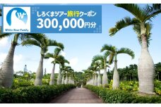 【沖縄市】しろくまツアーで利用可能なWEB旅行クーポン (30万円分) 沖縄旅行 観光 ツアー トラベルクーポン 電子クーポン 300000円 沖縄市 / 株式会社ホワイト・ベアーファミリー [BCAV008]