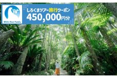 【沖縄市】しろくまツアーで利用可能なWEB旅行クーポン (45万円分) 沖縄旅行 観光 ツアー トラベルクーポン 電子クーポン 450000円 沖縄市 / 株式会社ホワイト・ベアーファミリー [BCAV009]