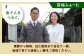  豚ミンチ 中挽き ひき肉 豚肉 小分け 冷凍 国産  豚 ミンチ 肉 ひき肉 パラパラ 挽き肉 挽肉 冷凍 小分け 