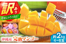 【ふるさと納税】【先行予約 2026年発送 予約受付】訳あり 完熟マンゴー 約2kg (4〜6玉入) マンゴー 沖縄 果物 フルーツ ギフト 沖縄市 / ちゃんぷる～市場 [BCAA002]