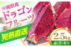 農家直送！南国の果物 ドラゴンフルーツ 2.5kg 火龍果 果物 フルーツ デザート お取り寄せ 沖縄市 / タカエス フルーツ＆ベジタブル [BCBH002]