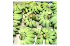 ムッチリ食感！沖縄県産アップルバナナ 2kg バナナ フルーツ 果物 無農薬 banana 沖縄市 / タカエス フルーツ＆ベジタブル [BCBH001]