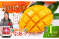 沖縄県産 完熟マンゴー 優品 1kg (2〜3玉) マンゴー 沖縄 果物 フルーツ ギフト マンゴー 家庭用 マンゴー 1kg 