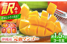 訳あり 完熟マンゴー 約1.5kg (3〜6玉入) マンゴー 沖縄 果物 フルーツ ギフト 沖縄市 / ちゃんぷる～市場 [BCAA001]