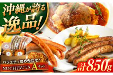 『NUCHIBUTA Aセット』 豚肉 ハンバーグ ソーセージ 詰め合わせ お取り寄せ 国産 ギフト 冷凍 沖縄市 / DELICATESSEN NUCHIBUTA [BCAR003]