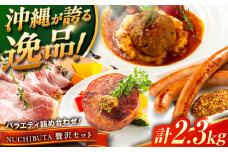 『NUCHIBUTA 贅沢セット』 豚肉 ハンバーグ ソーセージ ハム 詰め合わせ お取り寄せ 国産 ギフト 冷凍 沖縄市 / DELICATESSEN NUCHIBUTA [BCAR008]