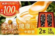 コハマのハチミツ ビデンスピローサ蜂蜜 500g×2本 蜂蜜 はちみつ ハチミツ 国産 ギフト 沖縄市 / 農業生産法人株式会社小浜養蜂場 [BCAQ003]