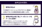 FC琉球 2025シーズンパス メインSS指定席 一般 (ゴールド会員ファンクラブ付き) サッカー Jリーグ スポーツ観戦