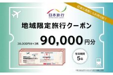沖縄県沖縄市 日本旅行 地域限定旅行クーポン 9万円分 旅行券 チケット 宿泊券 プレゼント ギフト 90000円 沖縄市 / 株式会社日本旅行 [BCAC004]