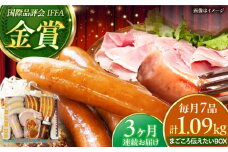 【全3回定期便】TESIOの自家製ハム＆ソーセージ 『まごころ伝えたいBOX』 豚肉 ハム ソーセージ 小分け 真空パック 沖縄市 / TESIO [BCAD013]
