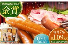 【全6回定期便】TESIOの自家製ハム＆ソーセージ 『まごころ伝えたいBOX』 豚肉 ハム ソーセージ 小分け 真空パック 沖縄市 / TESIO [BCAD014]