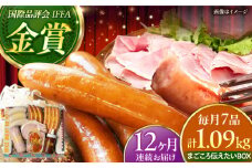 【全12回定期便】TESIOの自家製ハム＆ソーセージ 『まごころ伝えたいBOX』 豚肉 ハム ソーセージ 小分け 真空パック 沖縄市 / TESIO [BCAD015]