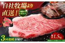 【全3回定期便】【厳選！おすすめ部位】沖縄和牛 佐渡山牛 ステーキ肉 500g ステーキ 牛肉 和牛 焼肉 赤身 沖縄市 / 肉のサブロー [BCBC005]