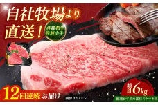 【全12回定期便】【厳選！おすすめ部位】沖縄和牛 佐渡山牛 ステーキ肉 500g ステーキ 牛肉 和牛 焼肉 赤身 沖縄市 / 肉のサブロー [BCBC007]