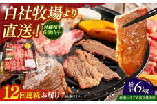 【全12回定期便】【厳選！おすすめ部位】沖縄和牛 佐渡山牛 焼肉用 500g 牛肉 焼肉 焼き肉 和牛 赤身 沖縄市 / 肉のサブロー [BCBC013]