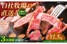 【全3回定期便】【数量限定】沖縄和牛 佐渡山牛 サーロイン＆希少部位 ステーキ肉 500g 牛肉 和牛 サーロインステーキ 焼肉 赤身 沖縄市 / 肉のサブロー [BCBC014]
