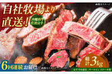 【全6回定期便】【数量限定】沖縄和牛 佐渡山牛 サーロイン＆希少部位 ステーキ肉 500g 牛肉 和牛 サーロインステーキ 焼肉 赤身 沖縄市 / 肉のサブロー [BCBC015]