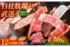 【全12回定期便】【数量限定】沖縄和牛 佐渡山牛 サーロイン＆希少部位 ステーキ肉 500g 牛肉 和牛 サーロインステーキ 焼肉 赤身 沖縄市 / 肉のサブロー [BCBC016]