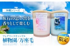 ふるさと納税限定 フレグランスキャンドル 『沖縄シリーズ』 2種セット (万座毛・植物園) キャンドル おしゃれ ルームフレグランス アロマキャンドル ギフト 沖縄市 / Earth & Pure [BCDJ012]
