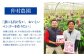 【 先行予約 2026年発送 】【訳あり】仲村農園の完熟アップルマンゴー 2kg マンゴー 2026 訳あり 沖縄 マンゴー 