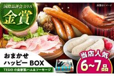 TESIOの自家製ハム＆ソーセージ 『おまかせハッピーBOX』 豚肉 ハム ソーセージ 小分け 真空パック 沖縄市 / TESIO [BCAD019]