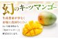 沖縄 マンゴー キーツマンゴー 果物 くだもの フルーツ  