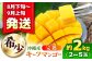 沖縄 マンゴー キーツマンゴー 果物 くだもの フルーツ  