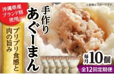 【全12回定期便】あぐーまん 10個入り (2個入り×5P) 肉まん 豚まん 点心 お取り寄せ 冷凍 沖縄市 / 豚々茶舗 [BCBL031]