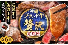 【全6回定期便】沖縄ブランド牛を堪能！贅沢お肉定期便【沖縄市】牛肉 和牛 サーロインステーキ 焼肉 赤身 沖縄市 / 肉のサブロー / お肉屋本店 [BCZZ028]
