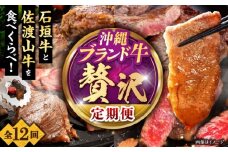 【全12回定期便】沖縄ブランド牛を堪能！贅沢お肉定期便【沖縄市】牛肉 和牛 サーロインステーキ 焼肉 赤身 沖縄市 / 肉のサブロー / お肉屋本店 [BCZZ029]
