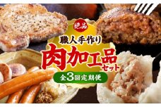 【全3回定期便】沖縄の絶品肉加工品セット【沖縄市】豚肉 ハム ソーセージ 豚まん ぶたまん ちまき 焼売 シュウマイ ハンバーグ 沖縄市 / TESIO / 豚々茶舗 / お肉屋本店 [BCZZ030]