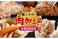 【全6回定期便】沖縄の絶品肉加工品セット【沖縄市】豚肉 ハム ソーセージ 豚まん ぶたまん ちまき 焼売 シュウマイ ハンバーグ 沖縄市 / TESIO / 豚々茶舗 / お肉屋本店 [BCZZ031]