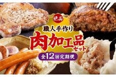 【全12回定期便】沖縄の絶品肉加工品セット【沖縄市】豚肉 ハム ソーセージ 豚まん ぶたまん ちまき 焼売 シュウマイ ハンバーグ 沖縄市 / TESIO / 豚々茶舗 / お肉屋本店 [BCZZ032]