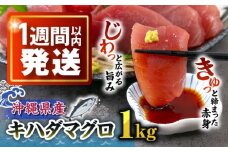 冷凍キハダマグロ 1kg (500g×2パック) マグロ まぐろ 小分け 冷凍 刺身 赤身 沖縄市 / 沖縄市漁業協同組合 パヤオ直売店 [BCDZ001]