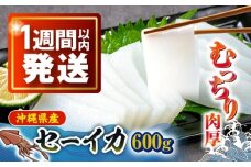 セーイカ (そでいか) 0.6kg (300g ×2パック) 沖縄市 / 沖縄市漁業協同組合 パヤオ直売店 [BCDZ002]