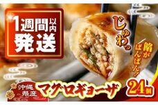 冷凍マグロギョーザ 24個(12個入り2パック) 餃子 冷凍 国産 マグロ 沖縄産 沖縄市 / 沖縄市漁業協同組合 パヤオ直売店 [BCDZ003]