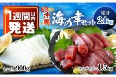 海の幸セット (冷凍キハダマグロ1.5kg / セーイカ0.9kg) 沖縄市 / 沖縄市漁業協同組合 パヤオ直売店 [BCDZ005]