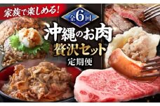【全6回定期便】家族で満喫！沖縄のお肉贅沢セット【沖縄市】ハンバーグ あぐー 石垣牛 ステーキ 焼肉 冷凍 ギフト お取り寄せ 沖縄市 / お肉屋本店 / 豚々茶舗 / TESIO / 肉のサブロー [BCZZ034]