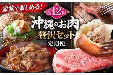 【全12回定期便】家族で満喫！沖縄のお肉贅沢セット【沖縄市】ハンバーグ あぐー 石垣牛 ステーキ 焼肉 冷凍 ギフト お取り寄せ 沖縄市 / お肉屋本店 / 豚々茶舗 / TESIO / 肉のサブロー [BCZZ035]