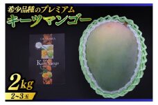 【2025年8月より順次発送】【先行予約】稀少プレミアム！！豊見城市産キーツマンゴー！大玉2〜3玉(約2kg)(BV002-2)