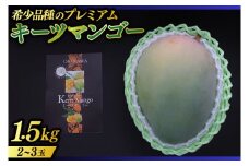 【2025年8月より順次発送】【先行予約】稀少プレミアム！！豊見城市産キーツマンゴー！大玉2〜3玉(約1.5kg)(BV001-1)