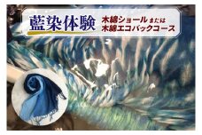 藍染体験 木綿ショールまたは木綿エコバックコース(BT002)